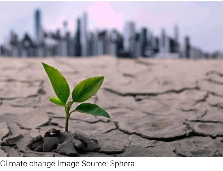 Nature4Climate pushes global roadmap to halt deforestation ahead of COP31