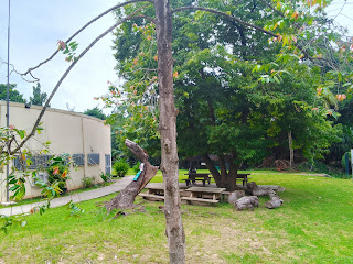 Climate Change: University of Ilorin, NCF Partner on Environmental Sustainability