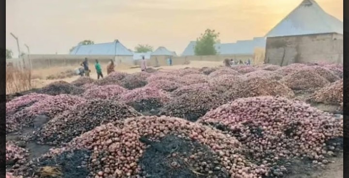 Inferno Ravages Sokoto Market, Destroys N204m Worth of Onions