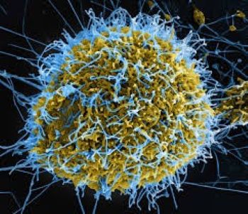 Nigeria faces high Ebola importation risk amid DRC, Uganda outbreaks — NCDC