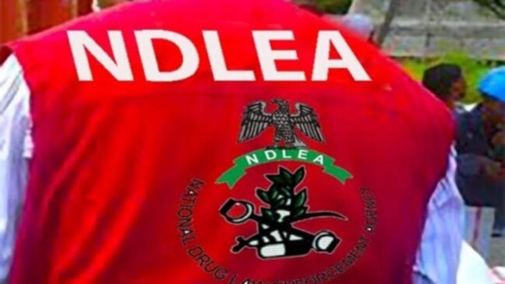 NDLEA clarifies report of ‘drug bunker’ at Taraba Nursing College