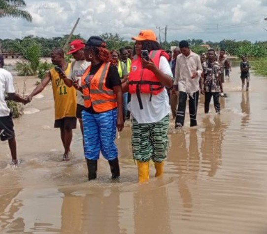 NEMA Raises Alarm as Flood Submerges 9 Enugu Communities, Affects 2,000 Houses